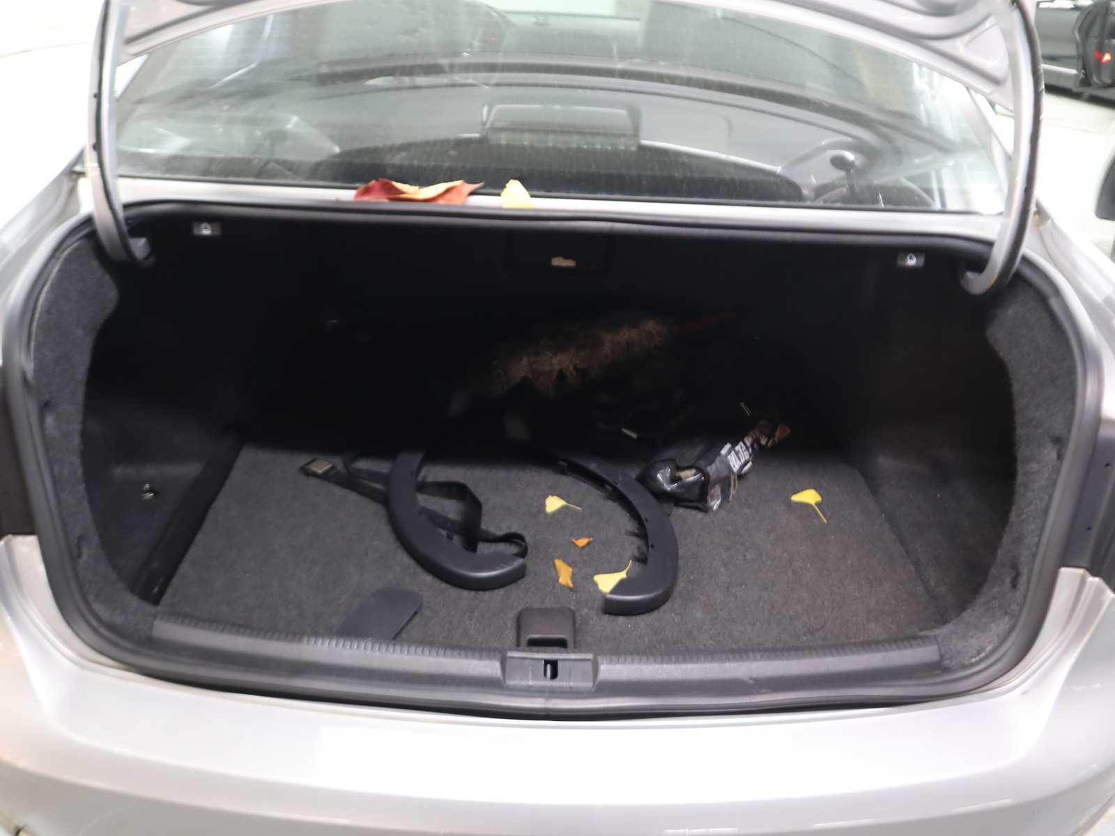 
								Volkswagen PASSAT full									